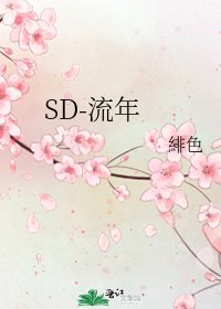 SD-流年