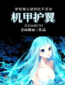 機甲護翼