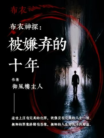 布衣神探：被嫌棄的十年